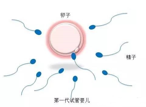PGT胚胎实验室